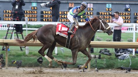 2022 Preakness Stakes Betting Odds, Picks, Exotic Bets & Preview.